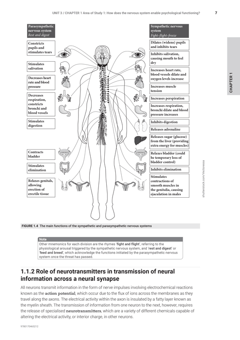 Cengage A+ VCE Units 3 & 4 Psychology Study Notes, page 7, Figure 1.4: The main functions of the sympathetic and parasympathetic nervous systems.