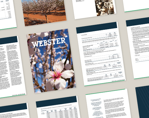 Webster Annual Report 2018 – thumbnail showing cover design and pages with financial tables.