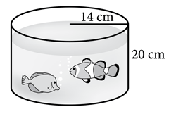 Mathematics – goldfish illustration showing volume of water.
